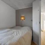 Prázdninový dům C11690-hemmet-lukkebjerg-7 *